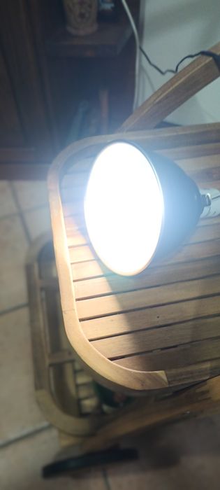 Lâmpada com suporte para répteis