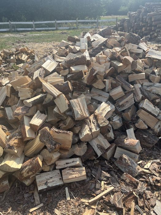 Drzewo opałowe Sosna