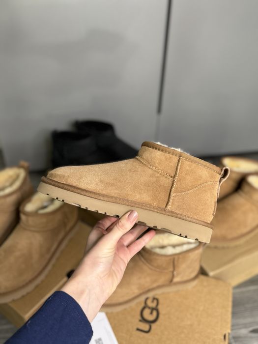 Угг классические угги ugg mini classic без платформы уг