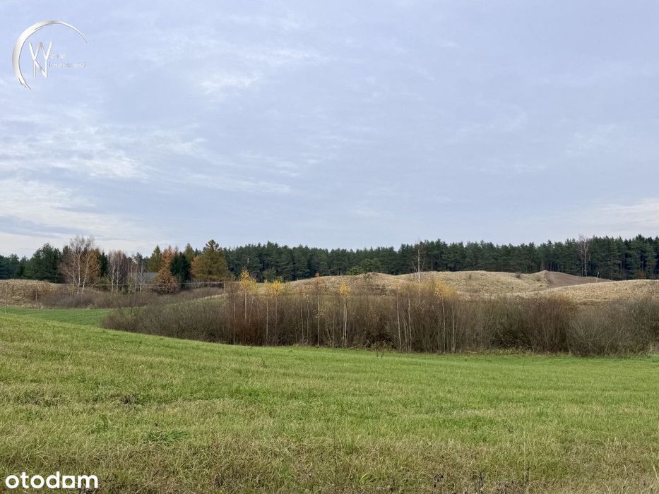 Działka nad jeziorem