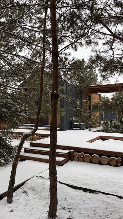 Будинок у сосновому лісі. Чан • Басейн • Генератор