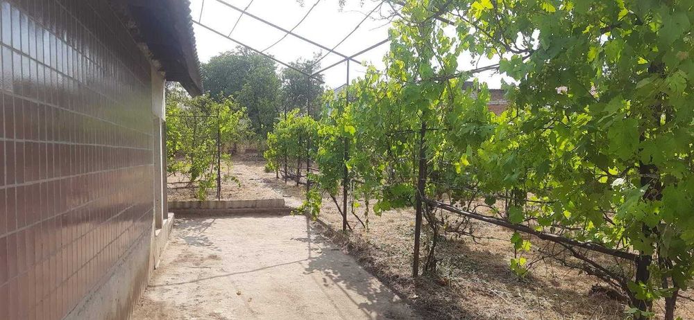 Продам дачу за Любимовкой от города 15 км