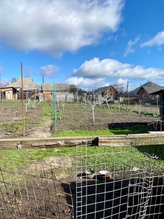 Продам будинок місто Богодухів (169210)