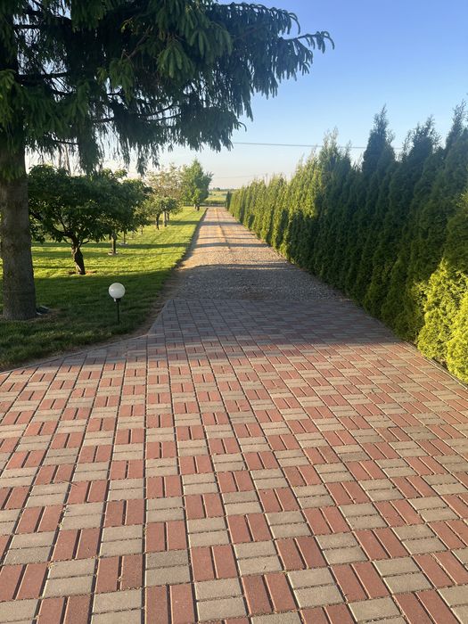 Dom – Niedźwiedź, powiat lipnowski - Widok 4