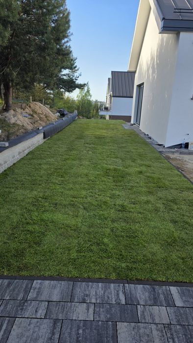 40m² Trawa z rolki – Gęsta, Zielona, Bez Chwastów | TRANSPORT