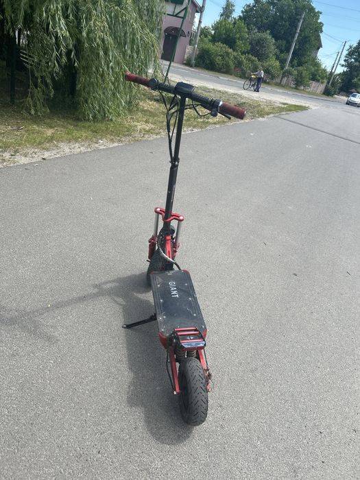 Giant Oytlender m11