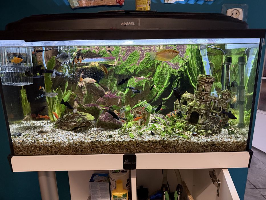 Zestaw akwarystyczny 112 l