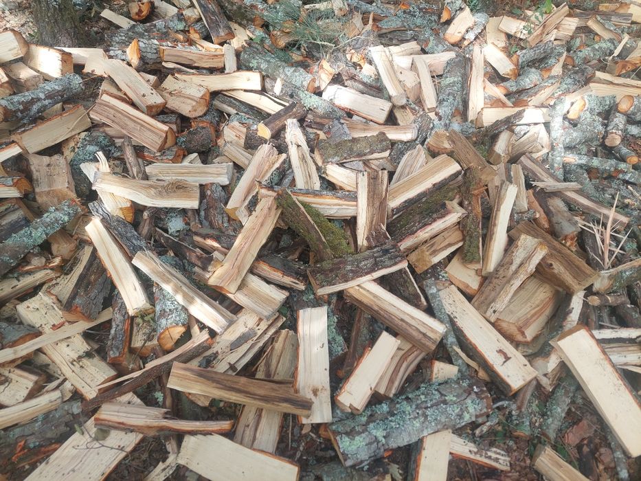 Lenha seca de mistura
