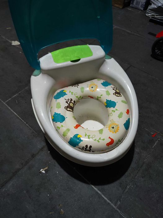 Sanita de iniciação