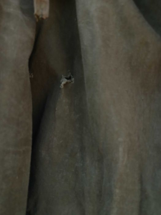 Плащ.    палатка