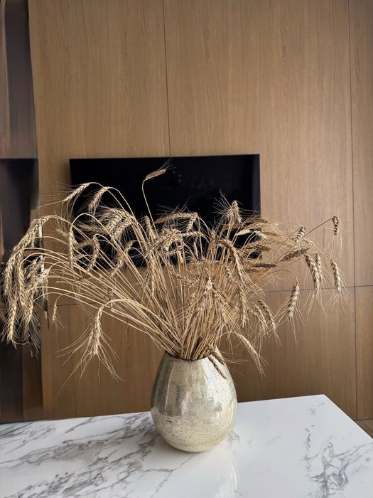 Колоски пшениці, колосья злаки. Український декор, композиція. Пшеница