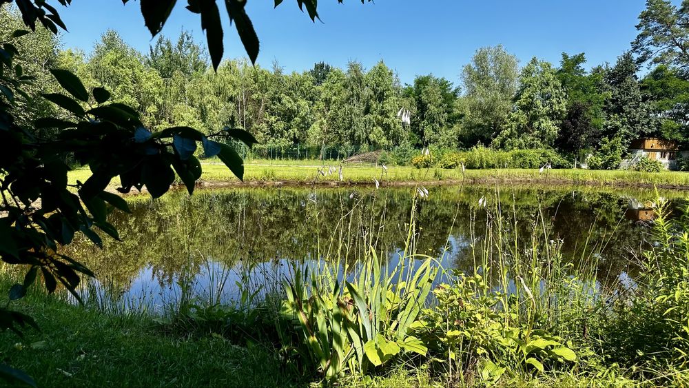 Продаж еко будинку з власним озером та соснами на території