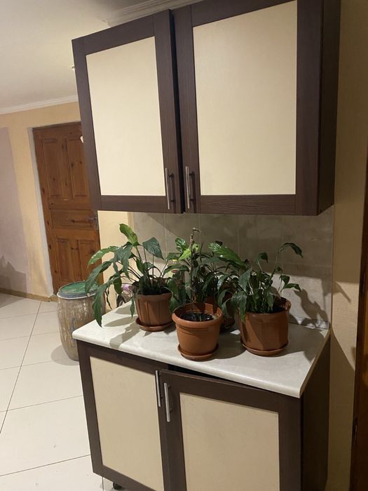 Вживана кухня