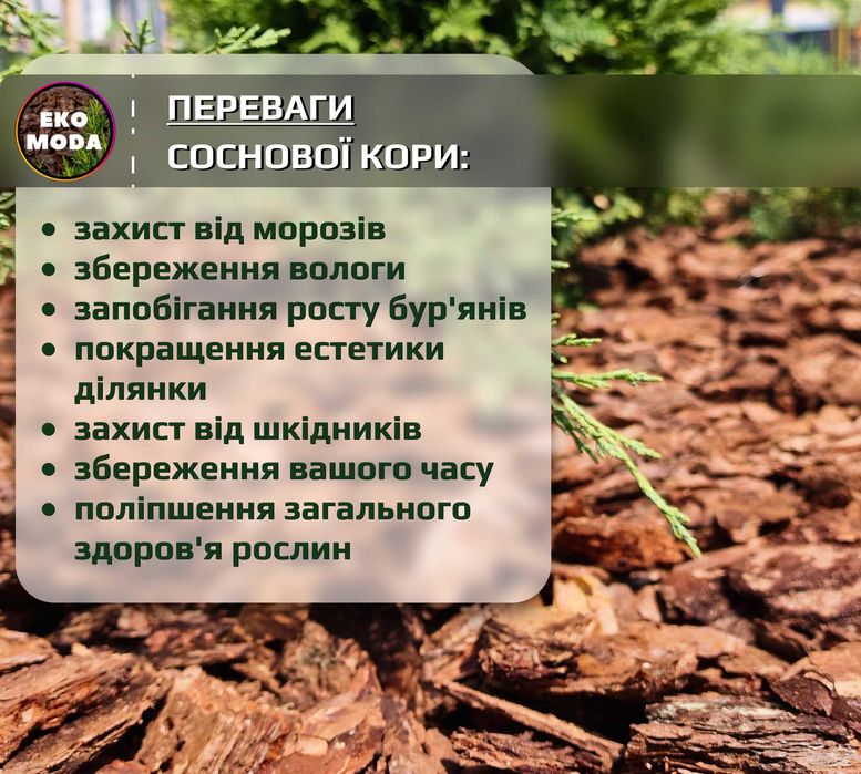 Соснова кора ВЕЛИКА 6–13 см, (є агроволокно, садовий інструмент)