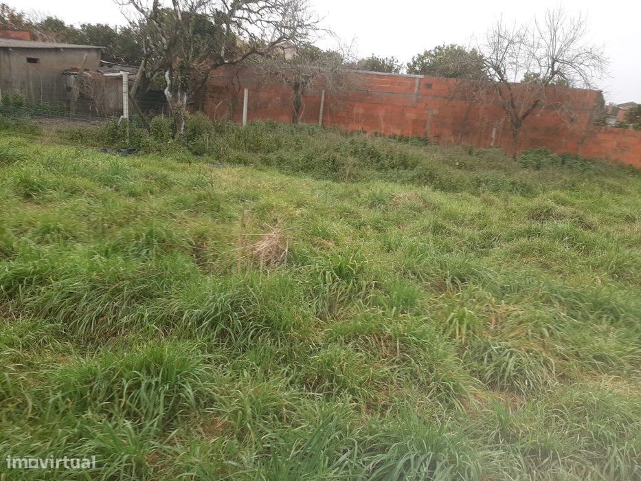 Terreno com 44 m frente Calvão - Vagos