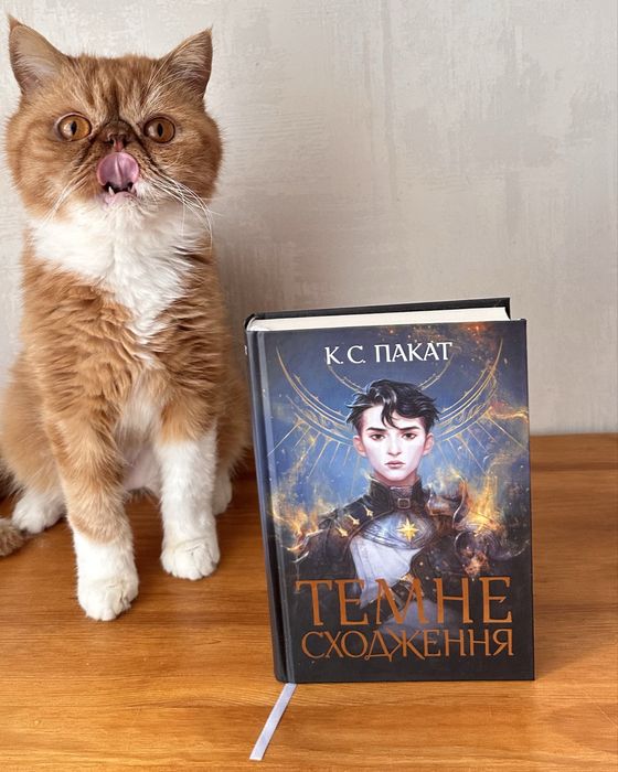 Книга «Темне сходження» фентезі