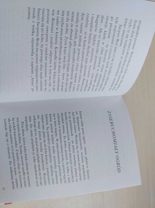 Pierwszy łyk piwa i inne drobne przyjemności Philippe Delerm