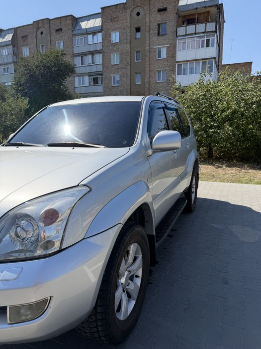 Продам надійного коня