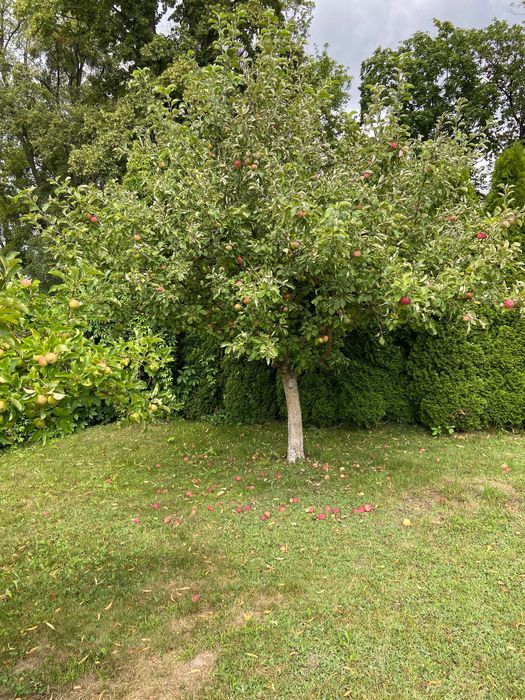 Zdjęcie 6