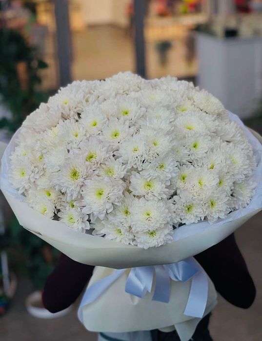 Квіти Луцьк доставка