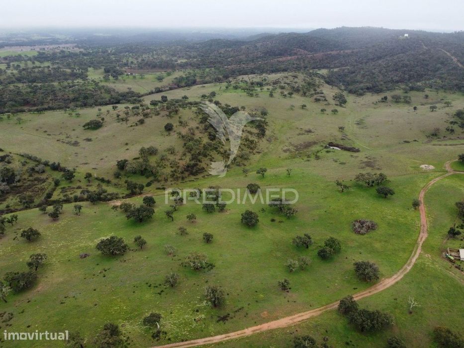 Herdade com 99,45 ha – Odemira, Litoral Alentejano