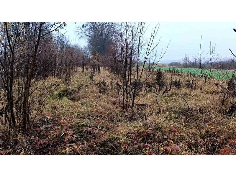 Земельна ділянка (0,0882 а) - с. Стадниця, Вінницька обл.