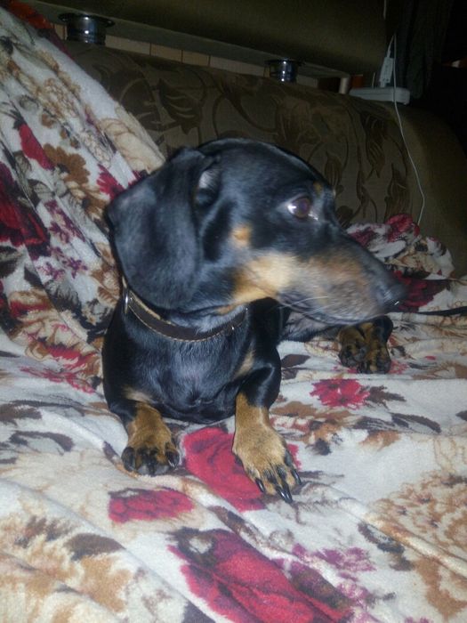 Мальчик 5 лет ищет девочку