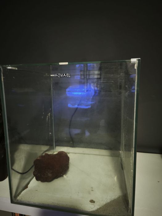 Aquario em cubo completo