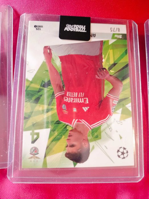 Cards António Silva Benfica