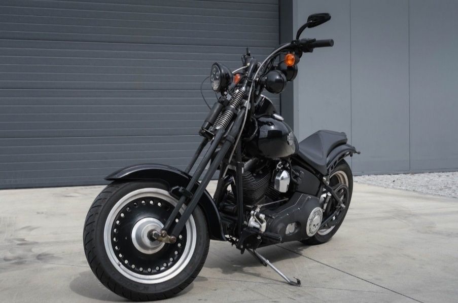 Harley Davidson thunder Mountain 1/1