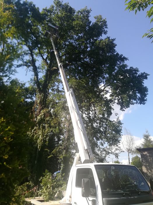 Wycinka drzew z podnośnika, przycinka/rębakowanie/frezowanie.UBEZPIECZ