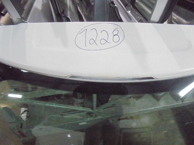 Porta / tampa da mala CITROËN C3 II (SC_)