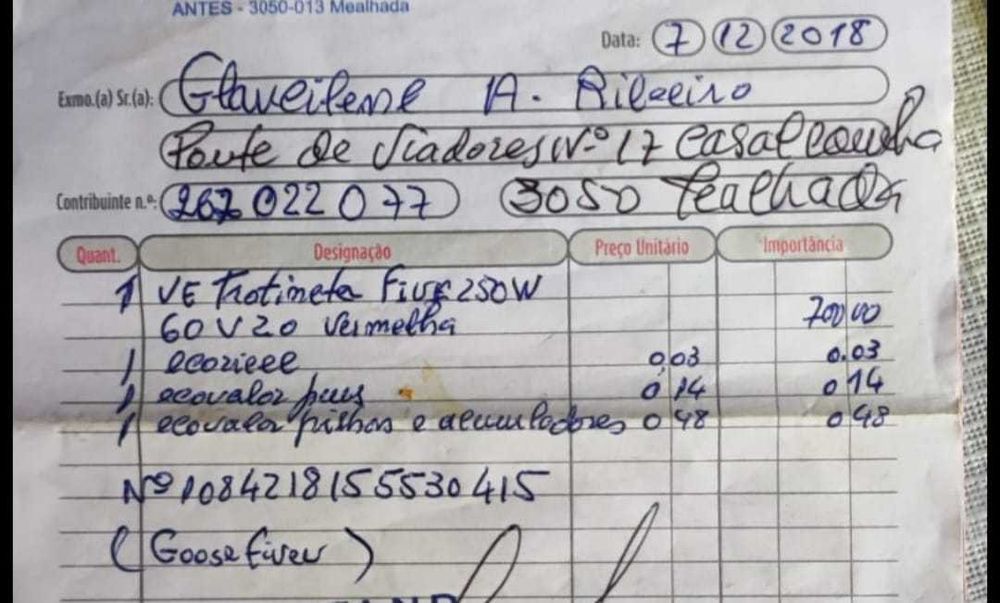 Moto eléctrica goosefive