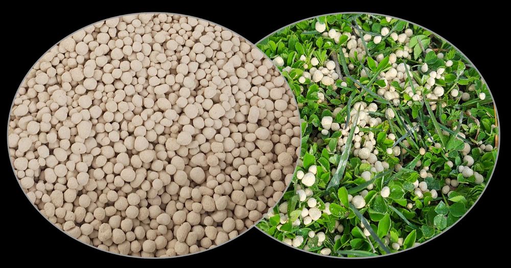 KREDA Z KORNICY, Nawozowa, Granulowana, Luzem, Big bag, Odmiana 06a,