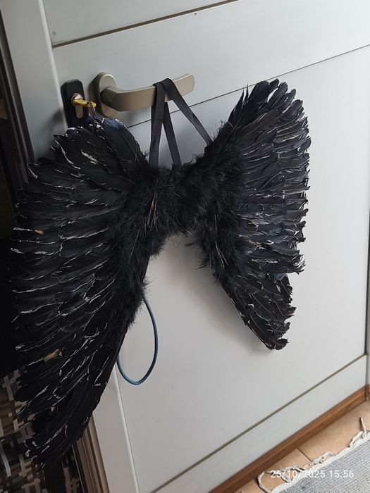 Acessórios de carnaval/ Halloween
