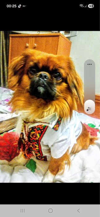 Висока матеріальна нагорода!!!