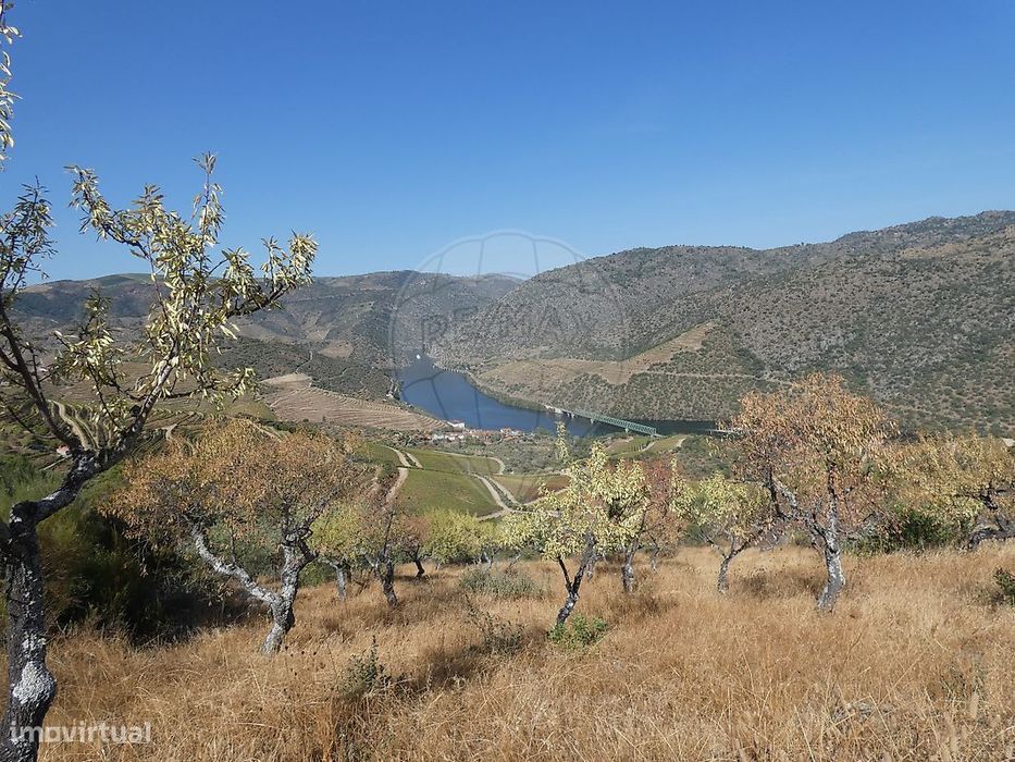 Terreno  para venda — Vale de Figueira, Viseu
