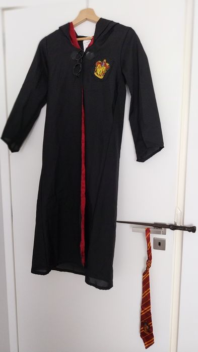 Disfarce Harry Potter