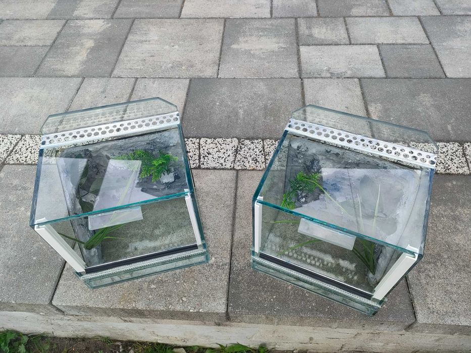 Terrarium M1 dla pająka, ptasznik, skorpion 20x18x20