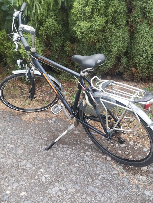 Rower gazelle cayo męski 28
