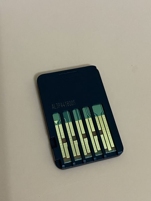 Картридж Nintendo Switch Ring Fit Adventure