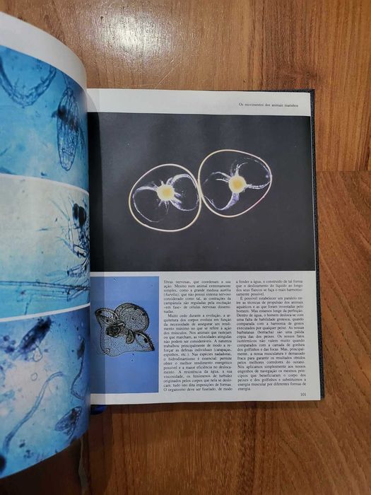 Coleção Livros | "O Mundo Submarino", Jacques-Yves Cousteau