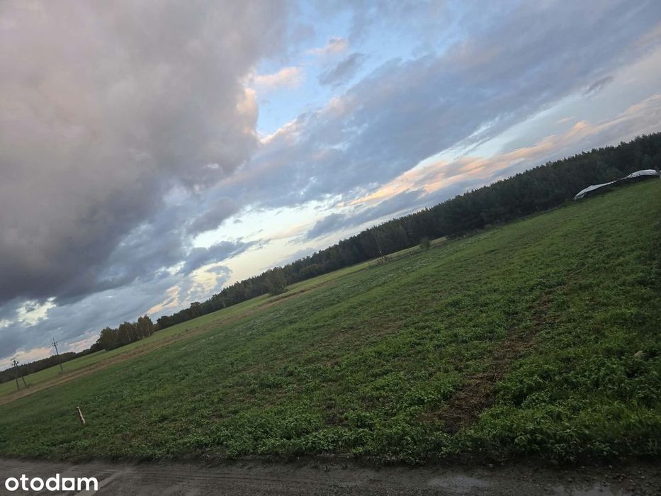 Sprzedam działkę / działki z warunkami zabudowy