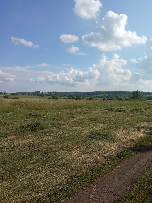 Сено луговое тюки и солома.