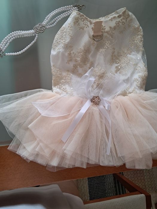 2 Roupinhas de cerimónia para cadelinhas