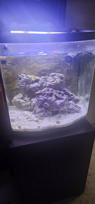Aquario panorâmico cubo 120 litros