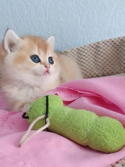 Красивіше не буває