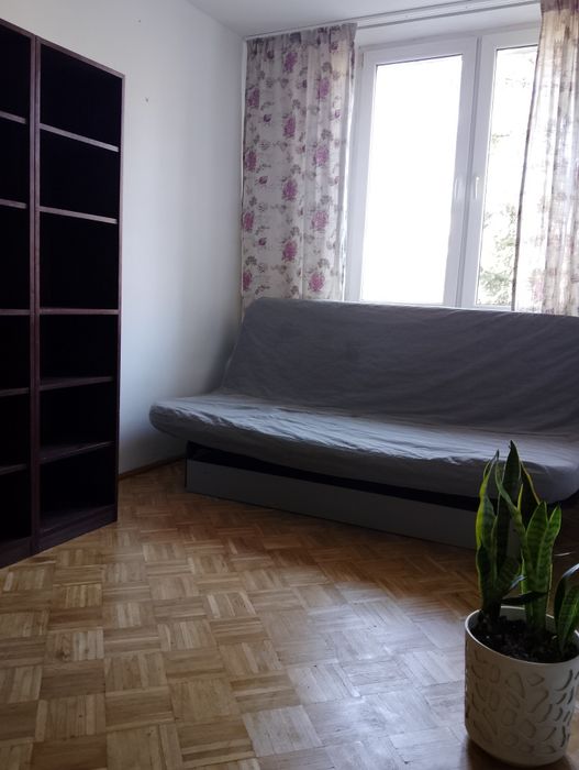 Mieszkanie do wynajęcia