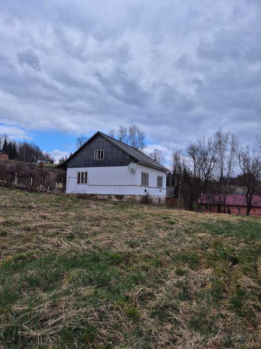 Продається будинок в с. Тячівські Лази