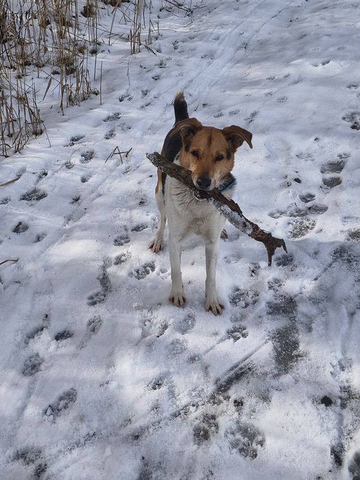 niewidzialny dla nikogo